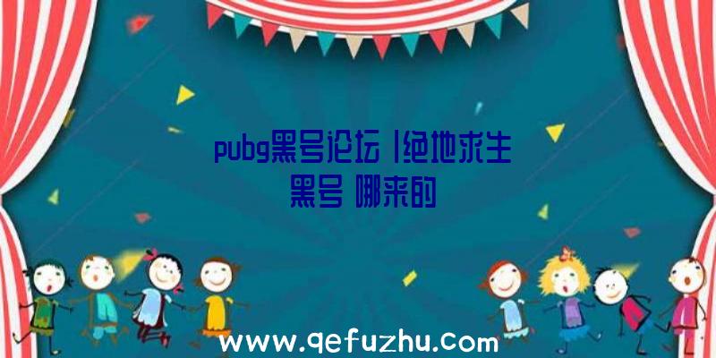 「pubg黑号论坛」|绝地求生